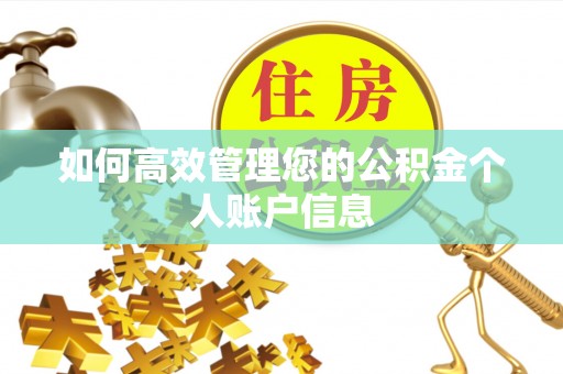 秀林如何高效管理您的公积金个人账户信息