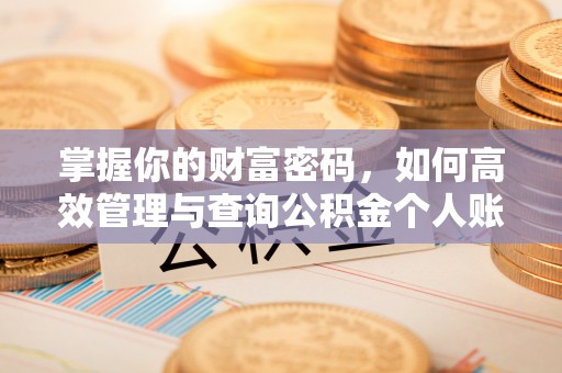 秀林掌握你的财富密码，如何高效管理与查询公积金个人账户信息